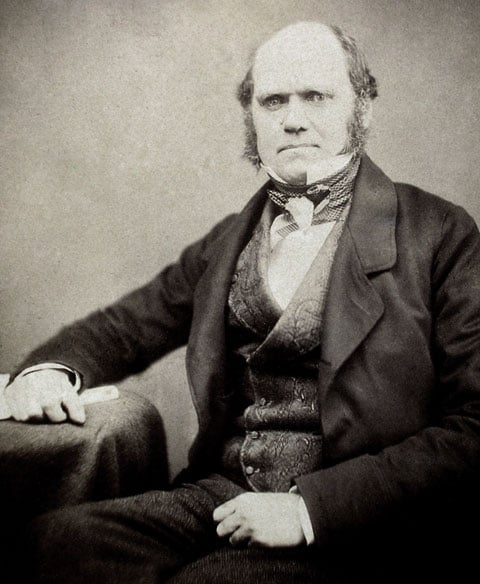 Portrait of Charles Darwin