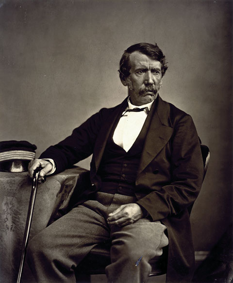 Portrait of David Livingstone